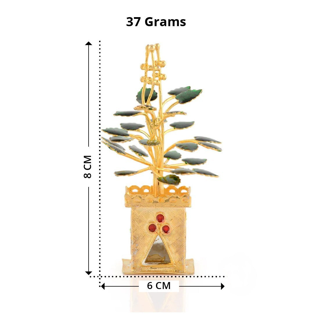 Tulasi Kota with Gold Finish - 92.5 Silver